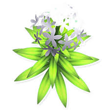 Tall white flowers are a very common plant once they are unlocked (through purchasing town upgrades). Tall White Flower Garden Paws Wiki Fandom