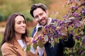 Image result for Hereroa glenensis