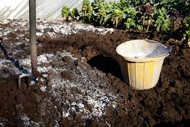 Unter hobbygärtnern wird der nutzen von branntkalk kontrovers diskutiert. Branntkalk Definition Und Anwendung Als Dunger Im Garten