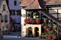Blumenbalkon In Bayern Bayern Heimat Home Pinterest Bayern Bavaria And European Trips
