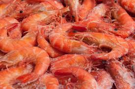 Risposte chiare per domande comuni. Come Cuocere Bene I Gamberi Surgelati I Consigli