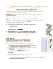 Building dna (answer key) building dna gizmo answer key an answering provider, unlike an automatic answering machine along with a recorded rnaproteinsynthesisse key qn85p6yq02n1 in addition to dna, another nucleic acid, called rna, is involved in making proteins. How Do You Think A Dna Molecule Makes A Copy Of Itself Gizmo