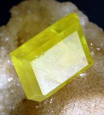 Image result for Yellow 1984 UMM