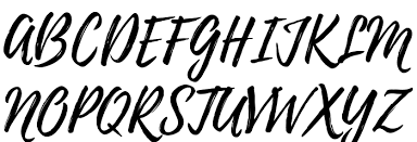 Script, caps, and ornament, which you ca развернуть. Playlist Script Font Ffonts Net