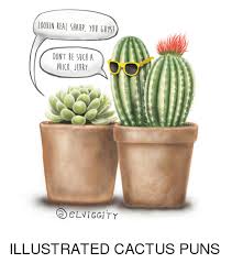 People interested in mean cactus puns also searched for. Lookin Real Sharp You Guys Don T Be Such A Prick Jerry Illustrated Cactus Puns Funny Meme On Me Me