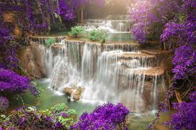 Has the garden of eden been located at last? Fototapete Garten Eden Jetzt Einfach Online Bestellen