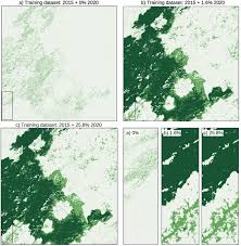 Image result for Sherbournia bignoniiflora