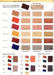 Skin Tone Colour Charts Wetcanvas In 2019 Color