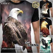 332 eagle hd wallpapers background images wallpaper abyss. Kaos Elang Rajawali 3d Bald Eagle 3 Baju Kaos Animal Burung Shopee Indonesia