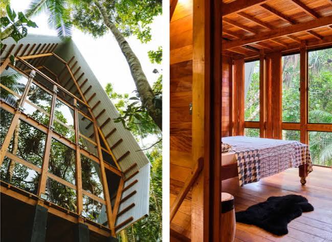 A monkey house in between trees - What Design Can Do