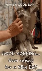 Dec 05, 2020 · tags: Good Morning Vietnam Gifs Tenor