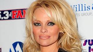 Résultat de recherche d'images pour "maria bartiromo implants"