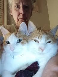 My beautiful Zeke...