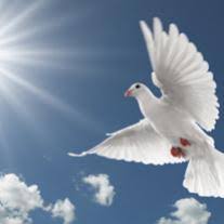 Tribute for Marie C. Lamoureux