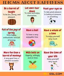 Happy Idioms Useful Phrases Idioms To Express Happiness 7 E S L English Vocabulary Words Idioms English Idioms