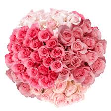 Check spelling or type a new query. Sending Cheap Flowers Online Globalrose