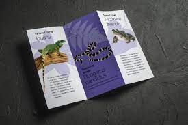 Home Zoo Leaflet Design Leaflet Desktop Publishing