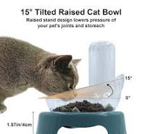 Amazon.com : Y-ANNJYA Triple Dog Cat Bowls,15°Tilt 3- in- 1 ...