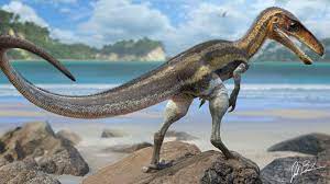 Découverte d'écailles sensorielles sur le fossile d'un Juravenator |  National Geographic