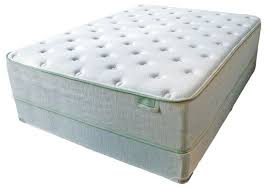 Carolina Mattress Guild The Company S New Flourish Line Is An Eco Friendly Encased Coil Offering Featured In Th With Images Furniture Today Mattress Furniture