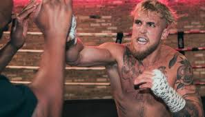 And as for jake paul, it seems the offer is on the table for silva's next fight in what would likely be a sizeable payday for the veteran fighter. Jake Paul Reacts After Anderson Silva Emerges Victorious In Boxing Match With Julio Cesar Chavez Jr Bjpenn Com