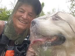 I spent about an hour with the Elk this morning fighting off mosquitoes  waiting for this guy to give me a shot. Thankfully it was in the 40s again  and the bugs