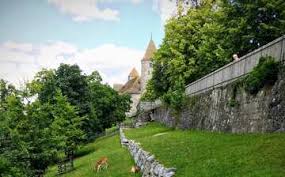 Trains from zurich to some of the zurich train stations to rapperswil you can start your journey from include zürich hb and. Reisetipps Rapperswil 2021 Das Beste In Rapperswil Entdecken Expedia