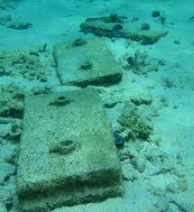 We did not find results for: Artificial Reefs What Works And What Doesn T