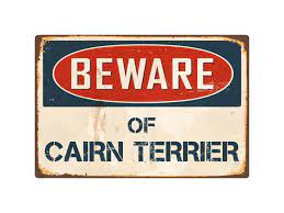 Beware Of Cairn Terrier 8