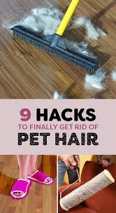9 Life Saving Hacks For Removing Pet Hair From Everywhere Cleaning Pet Hair Pet Hair Removal Dog Hair Cleaning