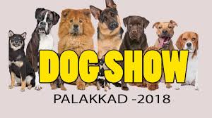 Check spelling or type a new query. Dog Show Palakkad 2018 Dog Farming Kerala Youtube