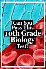 Use it or lose it they say, and that is certainly true when it. Can You Pass This 10th Grade Biology Quiz