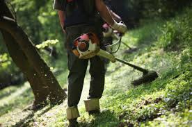 Know the tools and equipment you will need to jumpstart your business. Lawn Care Business Tips Starting A Lawn Care Business