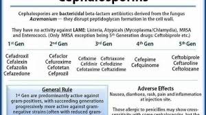 Cephalosporin Structure Classification Clinical Use And