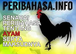 Himpunan Peribahasa Ayam Yang Lazim Dan Yang Tak Pernah Anda Dengar