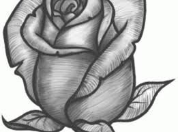 Pin On Illustrations