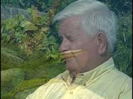 Keepers of The Reef: Shipwrecks and coral reefs in Bermuda