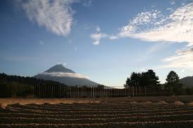 Todavia Te Da Tiempo De Venir A Disfrutar De Los Atardeceres De Diciembre En Finca Filadelfia Estamos A Antigua Guatemala Natural Landmarks Guatemala Coffee