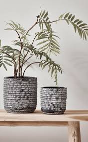 The perfect little pots for mini cacti, herbs, aloe or succulents. New Two Dash Textured Planters Indoor Flower Pots Ceramic Flower Pots Indoor Plant Pots