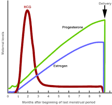 Molecular Endocrinology Laboratory Basic Concepts Reproduction Hormones