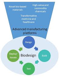 Plant cell has potential to develop into. Frontiers Future Trends In Synthetic Biology A Report Bioengineering And Biotechnology