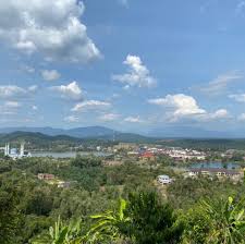 Om mau tanya kenari q gk mau jodoh2 pejantanya umur11 bulan idukanya udah pernah produksi indukanya di. Taman Kenari Kulim Kedah Kulim Kedah Malaysia Local Business Facebook