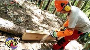 This bbnaija reunion 2019 is turning out to be more interesting than i thought. Le Grand Raid Reunion 2021 Termin Anmeldung Ergebnisse Fotos