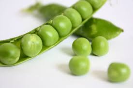 Frozen snow peas simply miss out on all the qualities of their · snow peas can be served raw in salads, but blanching them in boiling water for one minute. Pea Growing And Harvest Information Veggieharvest Com