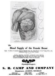 Band sizes are based on under bust measurements measured snugly and firmly. Bra Size Wikiwand