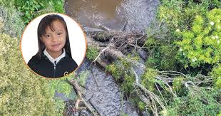 Muerte Valeria Afanador: nuevos detalles de cómo fue encontrado el cuerpo de la menor de edad, autoridades no descartan que haya sido homicidio - Infobae