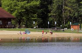 Check spelling or type a new query. Here S Where To Swim At State Parks In The Pa Wilds Pennsylvania Wilds