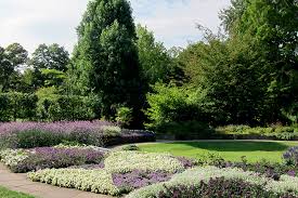 Check spelling or type a new query. Garten Nordhessen 2019 Gg Botanischer Garten