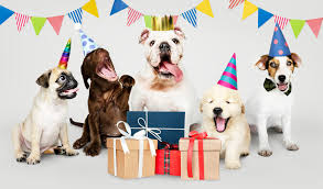 La historia de urquiza y su mejor amigo. Dia Del Perro Cuando Es Y Como Se Celebra Blog Agrocampo Colombia
