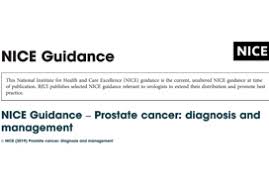 Prostate cancer is the most common cancer in men after skin cancer. Editorial Nice Guidelines On Prostate Cancer 2019 Bjui